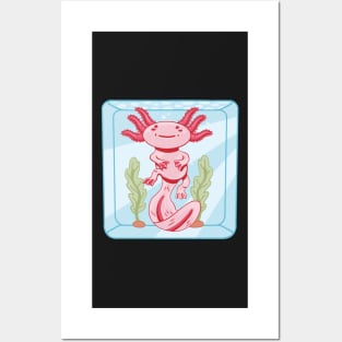 axolotl, axolotl pattern, salamander , salamander shirt, olm, pond newt, lizard , mexican salamander Posters and Art